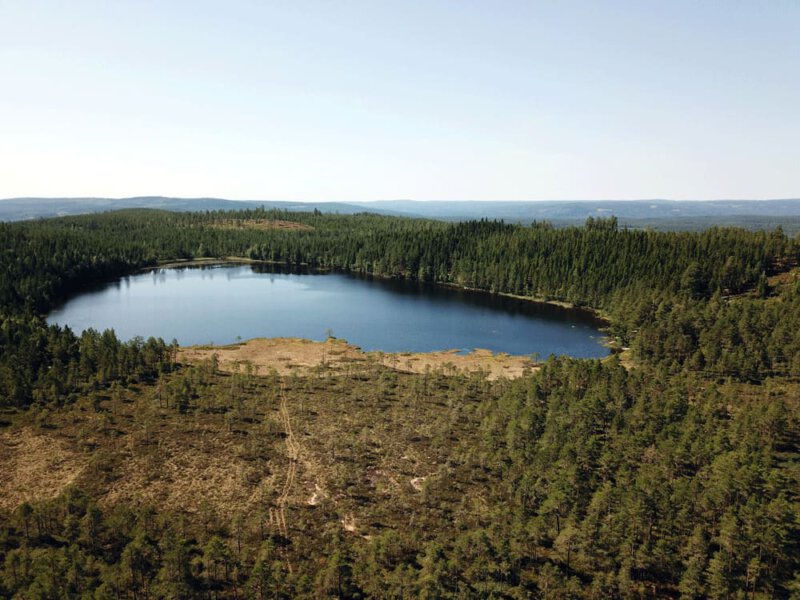 Bossen en meren Värmland Zweden