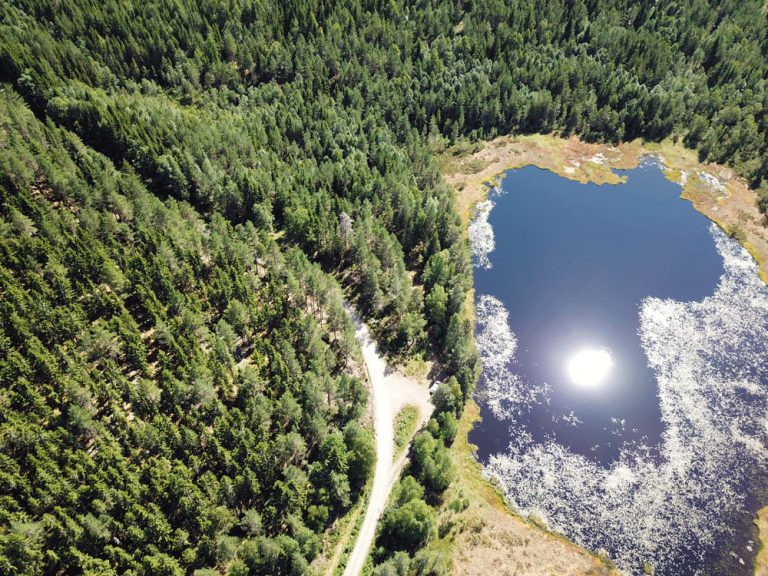 Op vakantie in Värmland (tips + bezienswaardigheden) - Miss Scandinavie