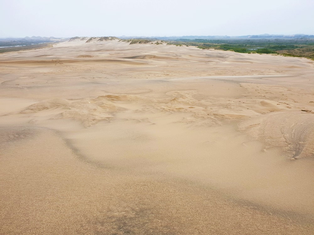 Rabjerg Mile natuurgebied Noord-Jutland