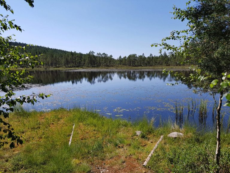 Op vakantie in Värmland (tips + bezienswaardigheden) - Miss Scandinavie