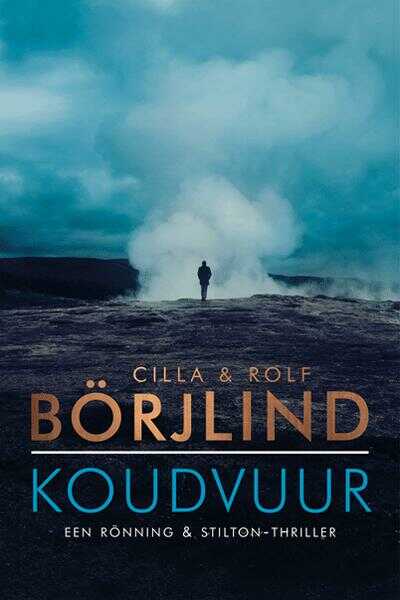 Boek koudvuur Börjlind