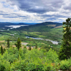 Vakantie Zweeds-Lapland