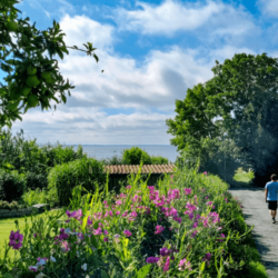 Eiland Nyord Mon in Denemarken