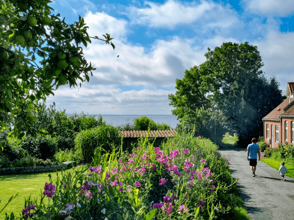 Eiland Nyord Mon in Denemarken