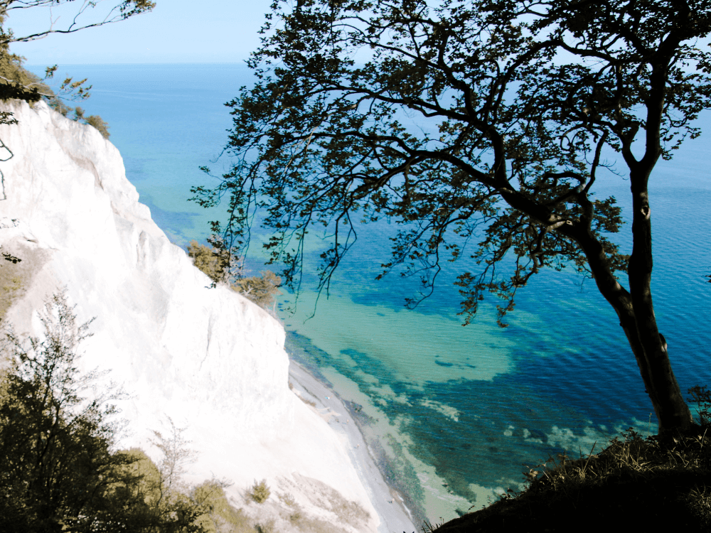 Krijtrotsen Møns Klint in Denemarken